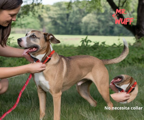 Correa Para Perro Resistente Ajustable Reflejante Mr Wuff Color Rojo - Imagen 4