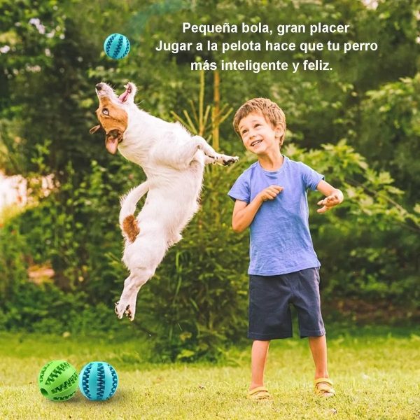 Juguete Pelota Perro Croquetas Resistente Grande Mr Wuff Verde L - Imagen 7