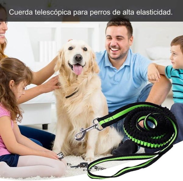 Correa Para Perro Elástica 1.20m Resistente De Alta Calidad Gancho Metalico Color Verde - Imagen 7